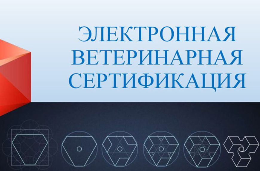 ветеринарная сертификация