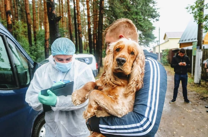 вакцинация против бешенства