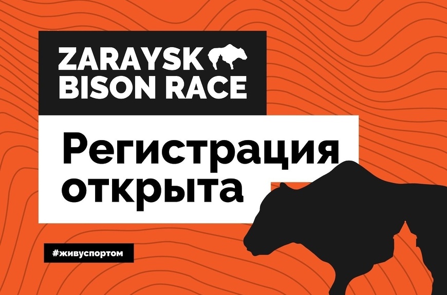 bison race