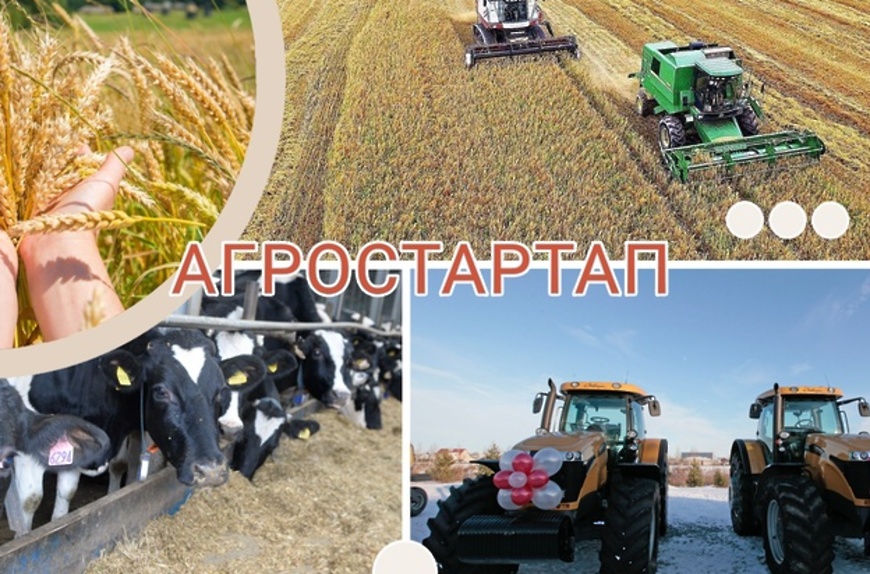 агростартап