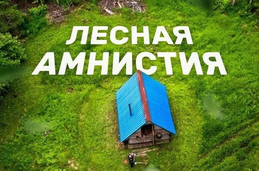 лесная амнистия