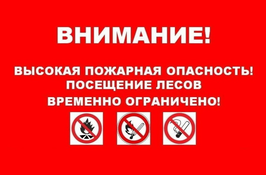 ограничения в лесах