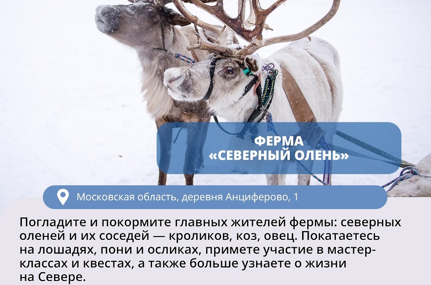 ферма северный олень