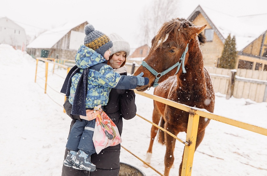 Экскурсия в КСК