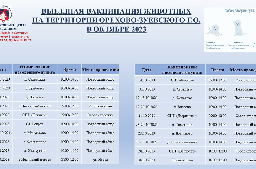 Вакцинация выездная на октябрь 2023