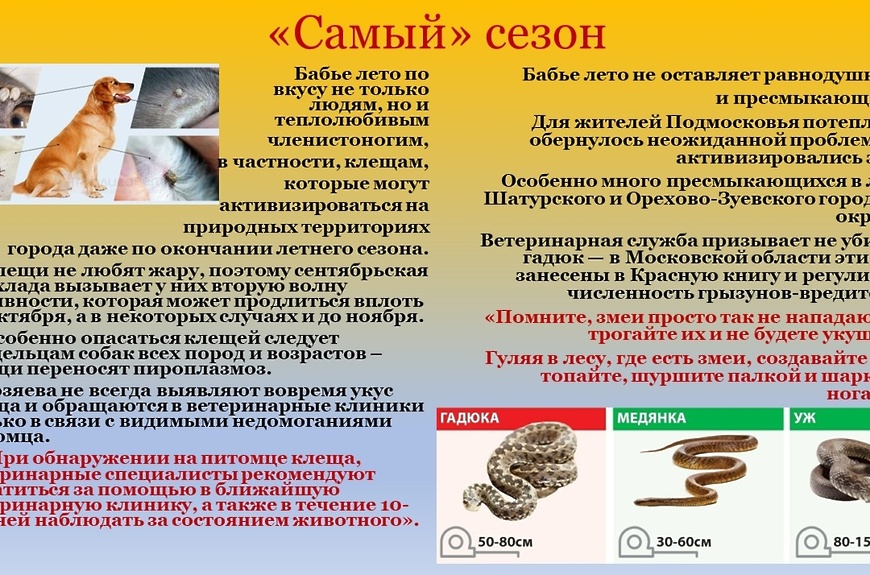 Вет.станция