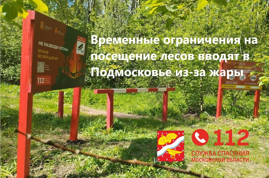 Слайд к заметке СМИ Ограничение в лесах